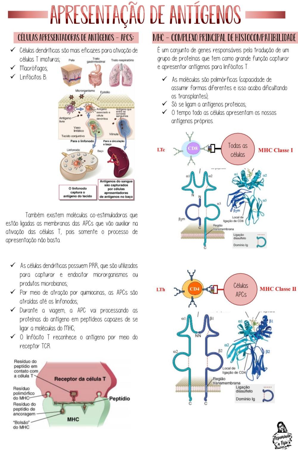 Apostilas Imunologia & Microbiologia - Resumindo a Fisio