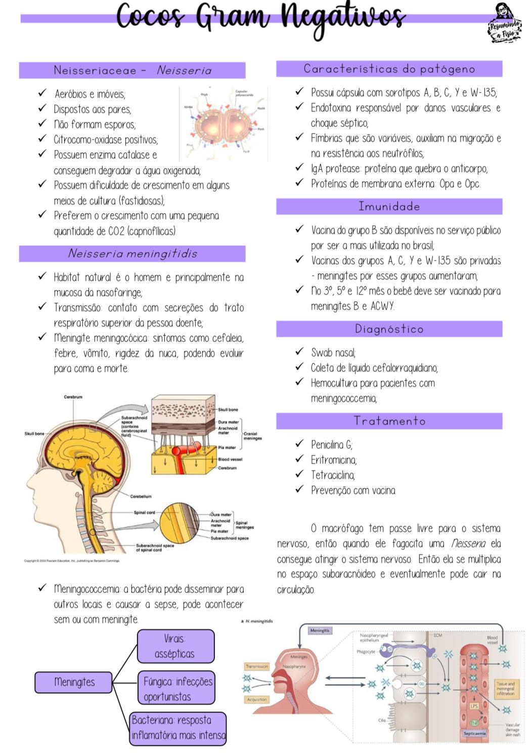 Apostilas Imunologia & Microbiologia - Resumindo a Fisio