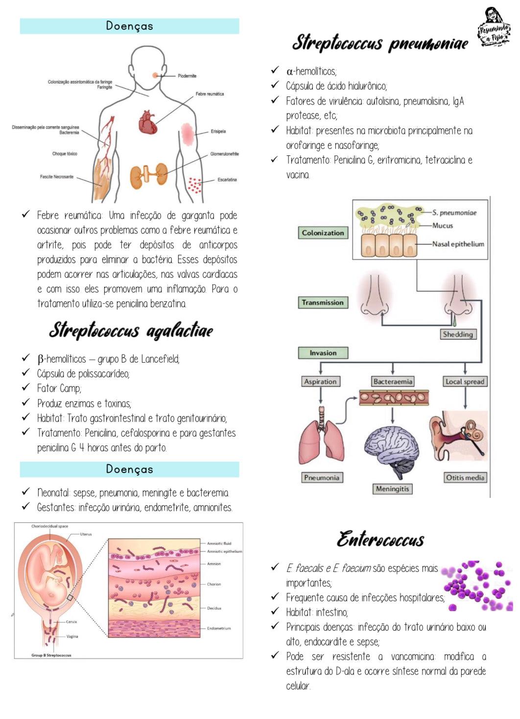 Apostilas Imunologia & Microbiologia - Resumindo a Fisio