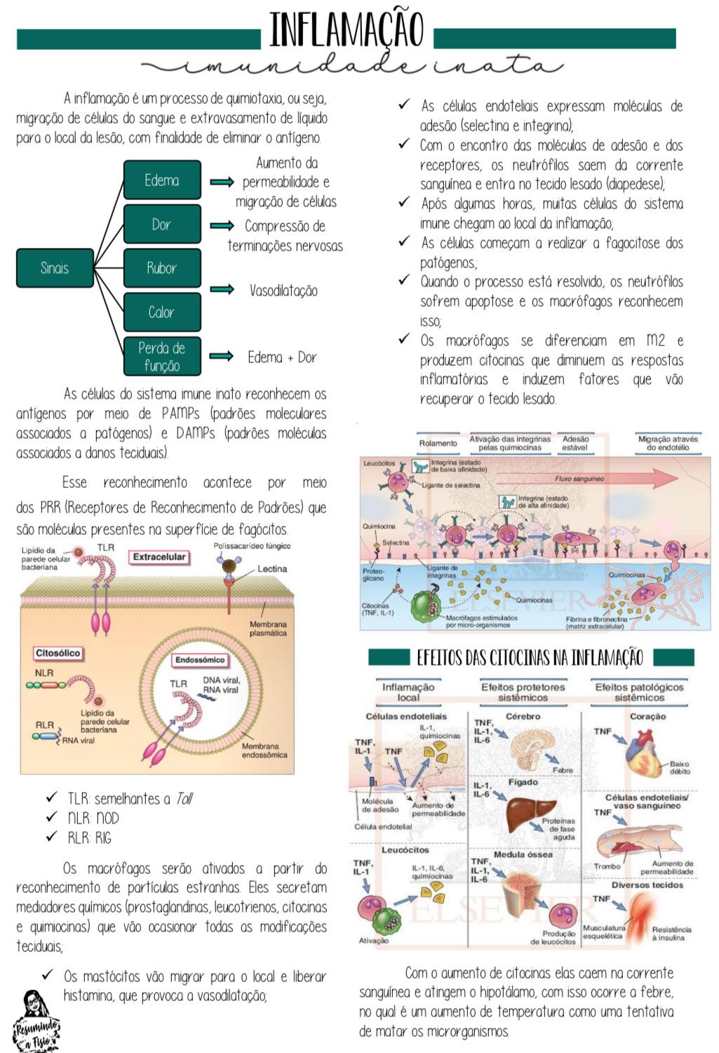 Apostilas Imunologia & Microbiologia - Resumindo a Fisio